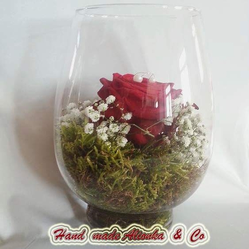 Фото для Моя ваза