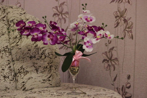 Фото для Орхидеи в фужере.