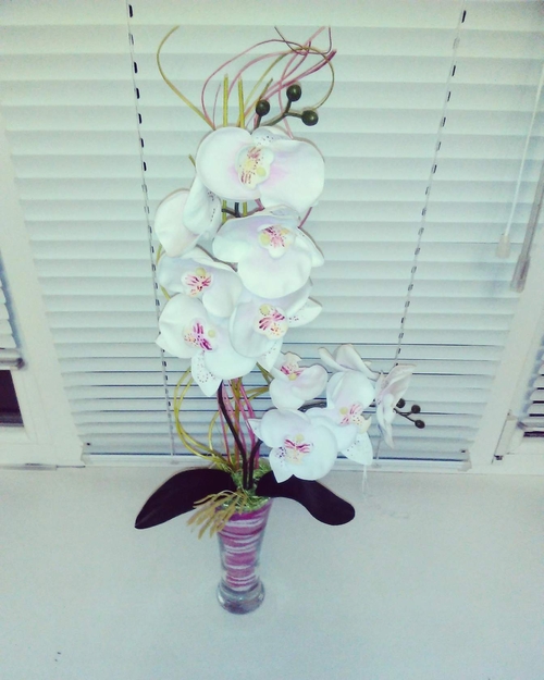 Фото для Орхидеи
