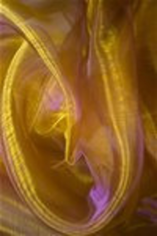 Photo of Органза