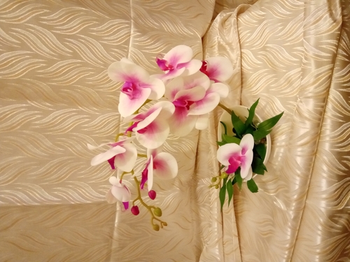 Фото для Орхидея (латекс ).